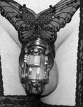 Fem-Sluts  Chastity Devices