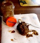 Scheissefresser Koti