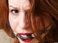 Tied Sexy Beauties 2-2