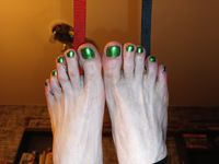 Mein Schwanz und Nylons