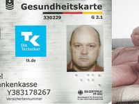 No Rules , No Limits