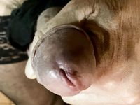 Membo1 cock in black stockings