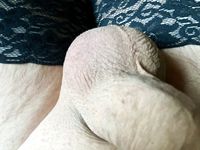 Membo1 cock and black stocking legs