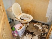 Folle , dégueulasse