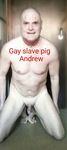 exposed faggot Andrew naked