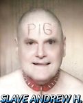 slave pig Andrew extreme sub