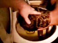 Photos of a Shit Eating Faggot