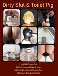 Toilet Pig and  Dirty Slave Allinone