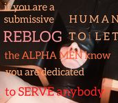 Toilet Pig and  Dirty Slave Allinone