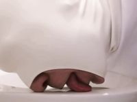 Toilet Pig and  Dirty Slave Allinone