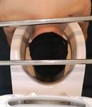 Toilet Pig and  Dirty Slave Allinone