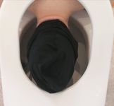 Toilet Pig and  Dirty Slave Allinone