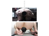 Sorry Anna Waters, I let the world see your big asshole