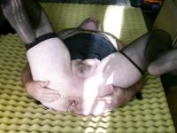 Photos from STSW 3, Porn in a future container studio.