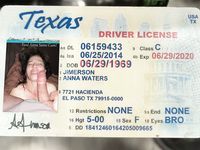 Anna Waters and other Internet Whores