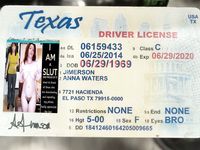 Anna Waters and other Internet Whores