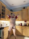 Dr Christian Loucq public whore