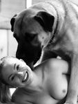 My naughty dogs