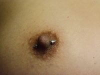 Vanessa  6