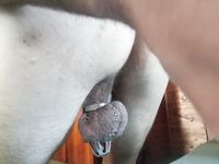 Sexxx