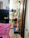 Desi House Wife Preeti Full Nude in bathroom