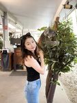 Chinese webslut Huimin Wang exposed forever