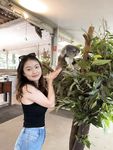 Chinese webslut Huimin Wang exposed forever