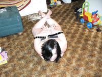 Slut Wife Anne Hogtied Naked Original Set
