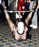 WHITE SLAVE GIRLS FOR BONDAGE  AND PIG