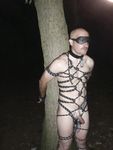 analpluggedpig