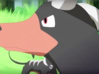 Lolitzbj exposed faggots Billy evans pokemon hentai 2