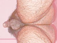 My uncut penis