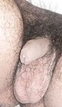 My uncut penis