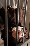 Chinese lady bondage 204