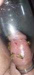 Brutal pain cbt insertion bdsm extrem pervers wasp sting coc