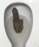 My huge turd