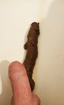 Me and my scat