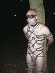 analpluggedpig is outdoors