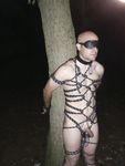 analpluggedpig is outdoors