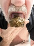 Gay Scat