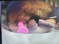 This is a man‘s ass