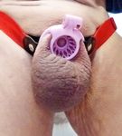 new chastity fish basket