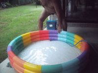 Preparing to Film Sharon the Sissy Whore Series Number 18,