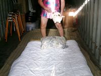 Setting up to film Sissy Sharon Does Hello Kitty