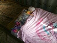 Setting up to film Sissy Sharon Does Hello Kitty