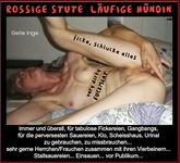 Geile Inge - läufige Hündin + rossige Stute