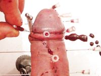 Nadeln durch Schwanz  Needles through Cock CBT Hart!