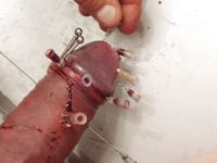 Nadeln durch Schwanz  Needles through Cock CBT Hart!