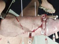 Nadeln durch Schwanz  Needles through Cock CBT Hart!