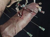 Nadeln durch Schwanz  Needles through Cock CBT Hart!